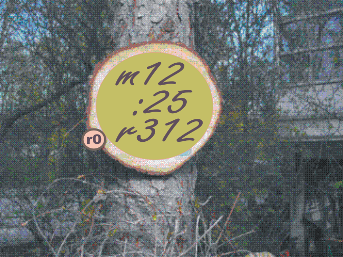 holzscheibe